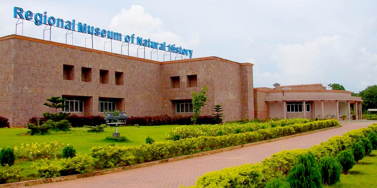 Places to Visit Regional Museum of Natural History, Bhubaneswar