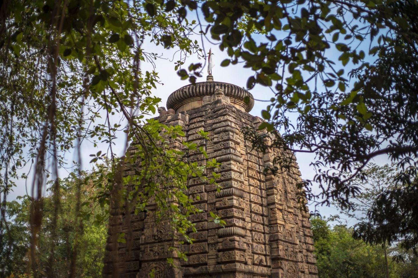 Parasurameswara Temple Bhubaneswar Parasurameswara Temple Bhubaneswar